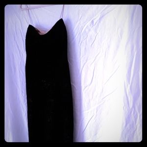 BCBG MaxAzria  Velvet gown, rose gold satin lining
